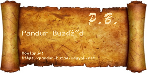 Pandur Buzád névjegykártya